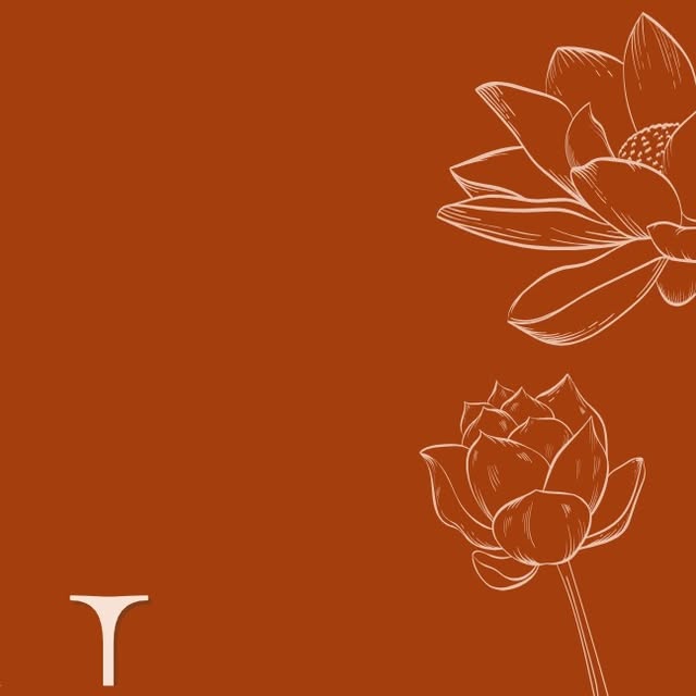 Instagram post preview from @navam.bykashish